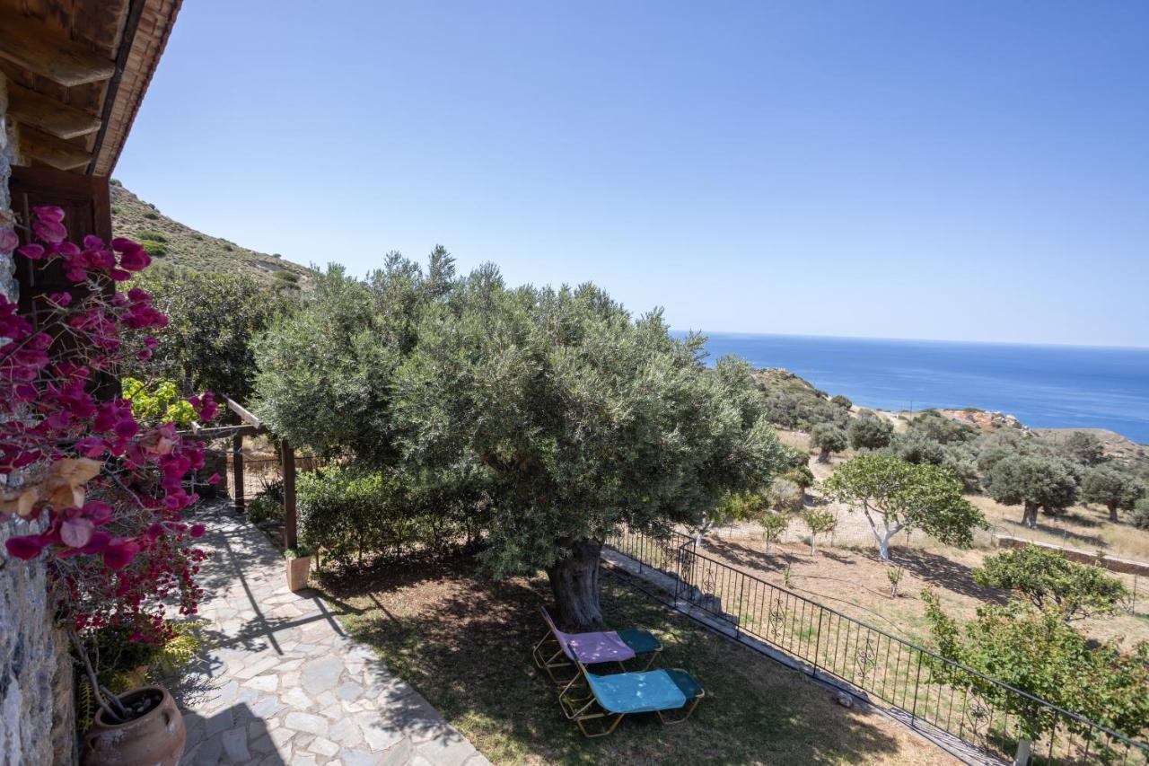 הוילה אגיה פרסקבי Manolis' House מראה חיצוני תמונה