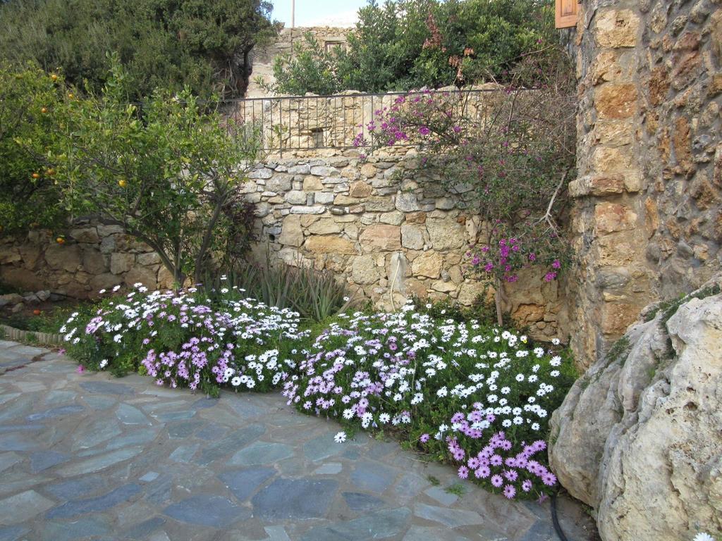 הוילה אגיה פרסקבי Manolis' House מראה חיצוני תמונה